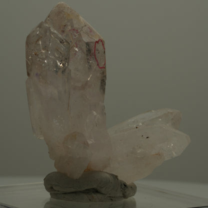 Enhydro Phantom Rauchquarz Skelett Zepter Spitzen, 2x Blase Goboboseb, Namibia 47*38*22mm #14074