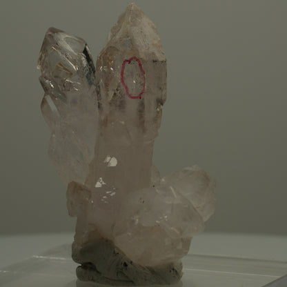 Enhydro Phantom Rauchquarz Skelett Zepter Spitzen, 2x Blase Goboboseb, Namibia 47*38*22mm #14074