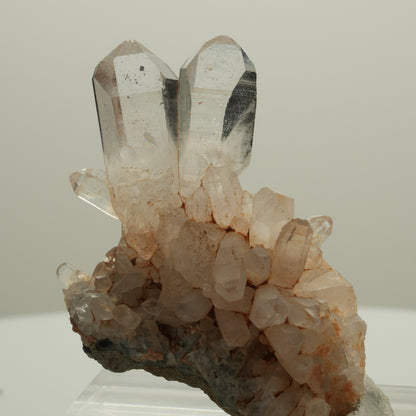Seltene Phantom Rauchquarz Skelett Zepter auf Matrix Goboboseb, Namibia 58*37*21mm #14077