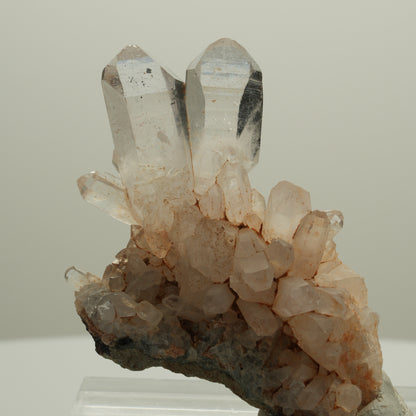 Seltene Phantom Rauchquarz Skelett Zepter auf Matrix Goboboseb, Namibia 58*37*21mm #14077