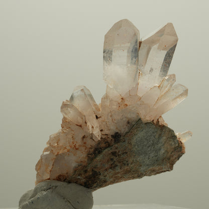 Seltene Phantom Rauchquarz Skelett Zepter auf Matrix Goboboseb, Namibia 58*37*21mm #14077