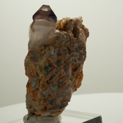 Seltene Phantom Amethyst Skelett Zepter auf Matrix Brandberg, Namibia 71*39*39mm #14080