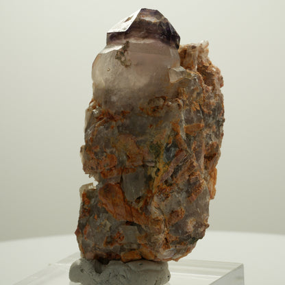 Seltene Phantom Amethyst Skelett Zepter auf Matrix Brandberg, Namibia 71*39*39mm #14080