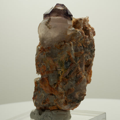 Seltene Phantom Amethyst Skelett Zepter auf Matrix Brandberg, Namibia 71*39*39mm #14080
