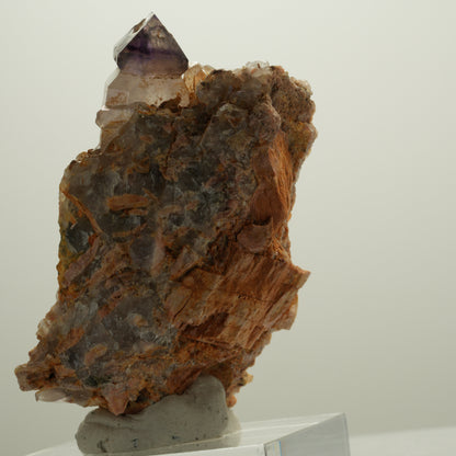 Seltene Phantom Amethyst Skelett Zepter auf Matrix Brandberg, Namibia 71*39*39mm #14080