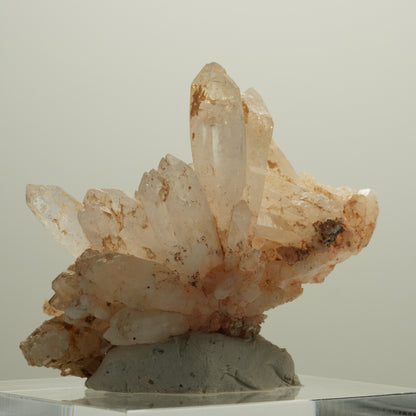 Seltene Phantom Skelett Rauchquarz Gruppe Goboboseb, Namibia 56*40*29mm #14081