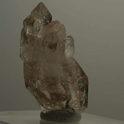 Skelett Phantom Rauchquarz Fenster Zepter Doppelender Goboboseb, Namibia 46*23*22mm #14084