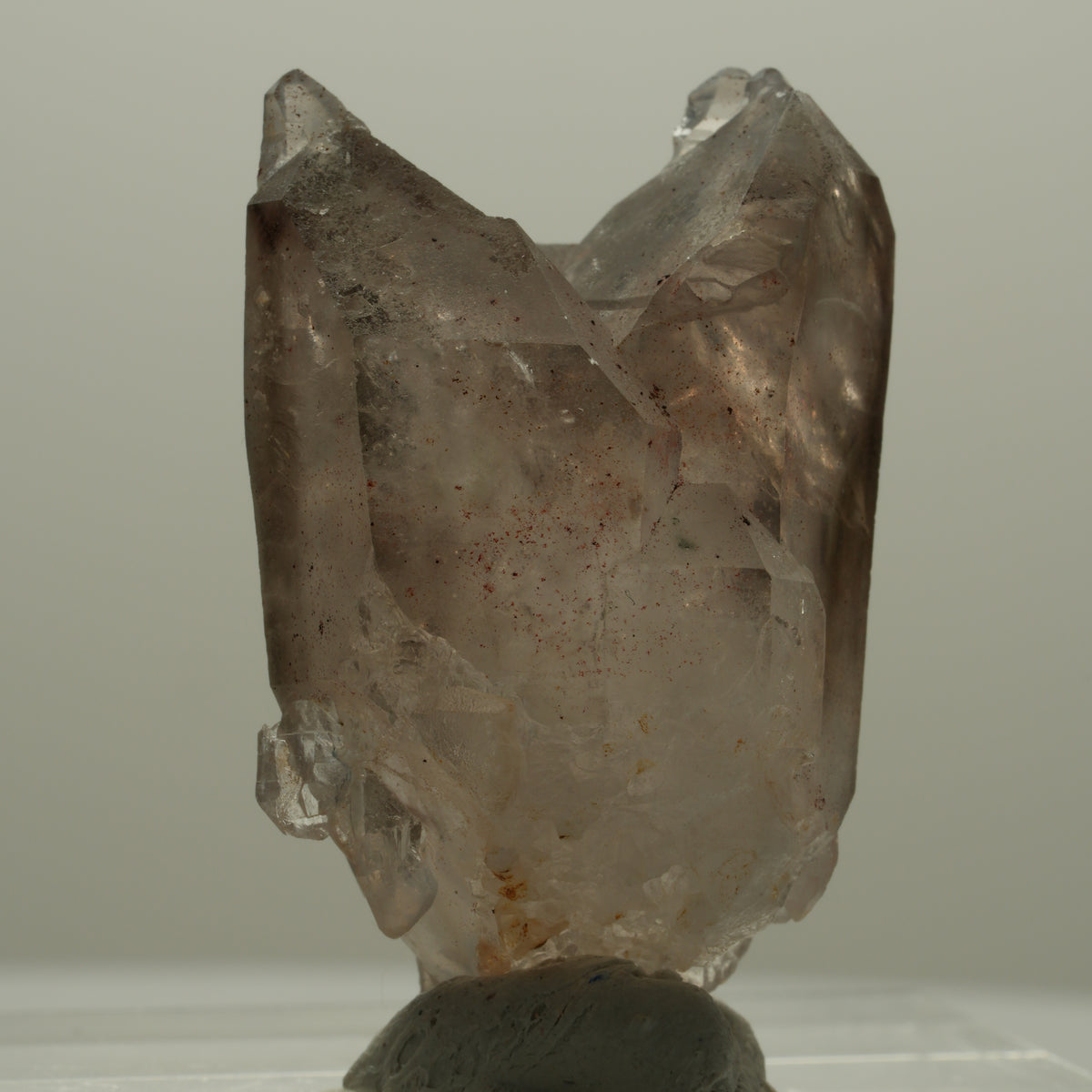 Seltene Phantom Rauchquarz Skelett Zepter Spitze Goboboseb, Namibia 20*12*10mm #14093