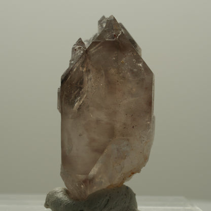 Seltene Phantom Rauchquarz Skelett Zepter Spitze Goboboseb, Namibia 20*12*10mm #14093