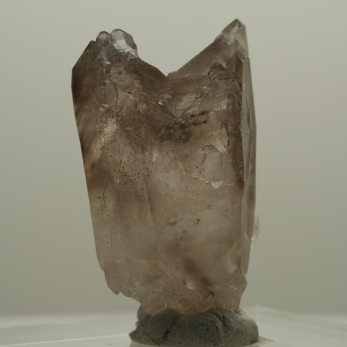 Seltene Phantom Rauchquarz Skelett Zepter Spitze Goboboseb, Namibia 20*12*10mm #14093