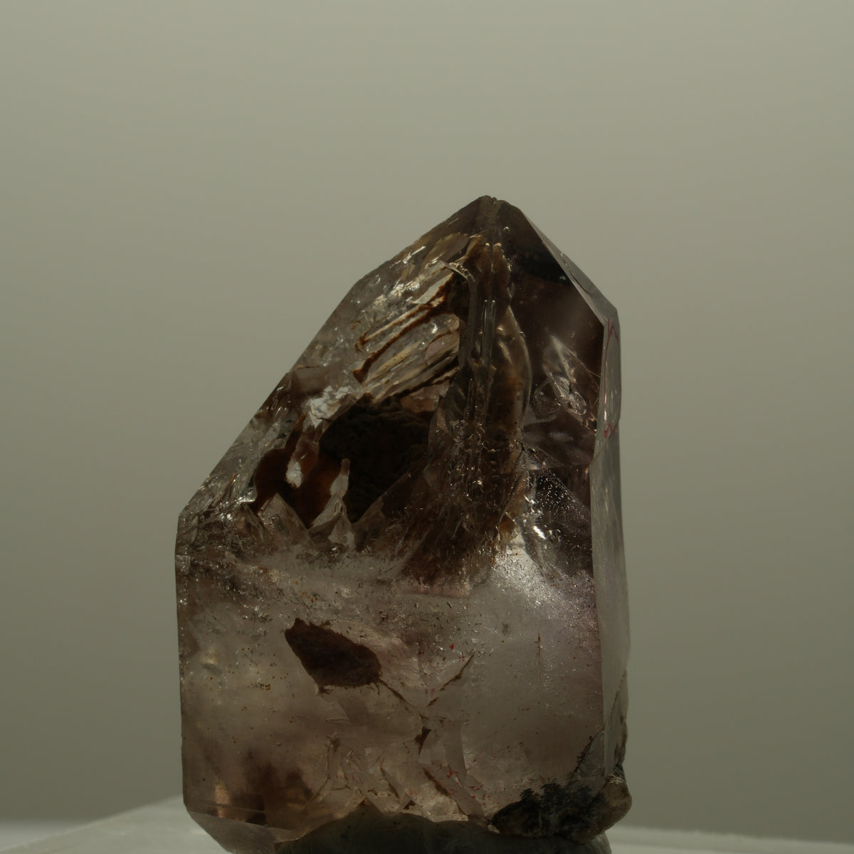 Enhydro Skelett Fenster Phantom Amethyst DT, 1x Blase Goboboseb, Namibia 18*12*11mm #14095