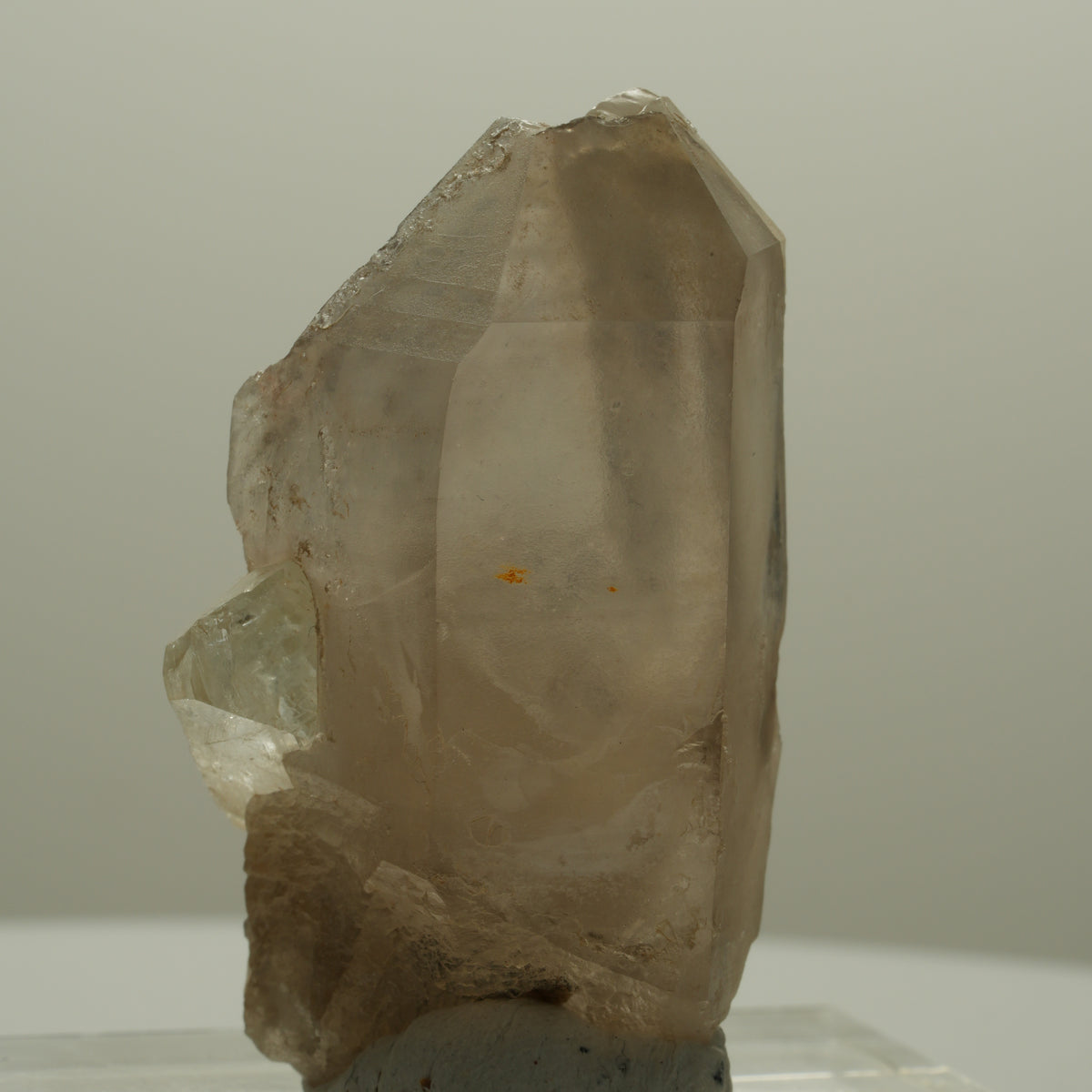 Seltene Phantom Skelett Rauchquarz Spitze Erongo, Namibia 49*31*25mm #14100