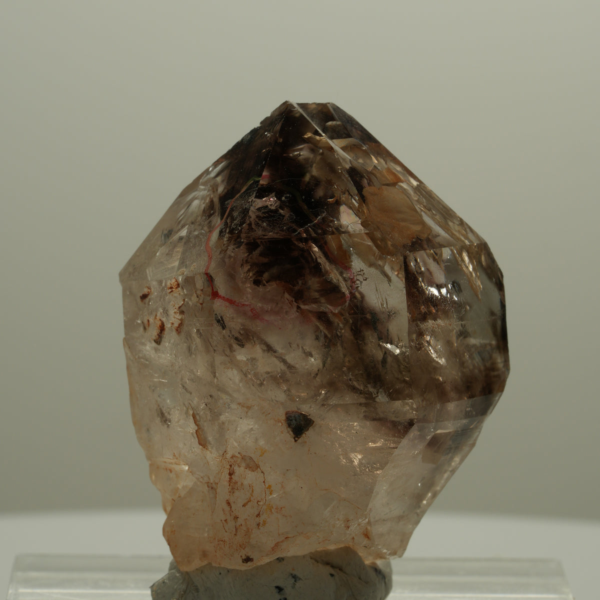 Enhydro Skelett Fenster Phantom Rauchquarz Zepter, 1x Blase Goboboseb, Namibia 42*30*29mm #14104