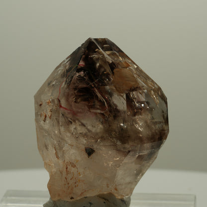 Enhydro Skelett Fenster Phantom Rauchquarz Zepter, 1x Blase Goboboseb, Namibia 42*30*29mm #14104