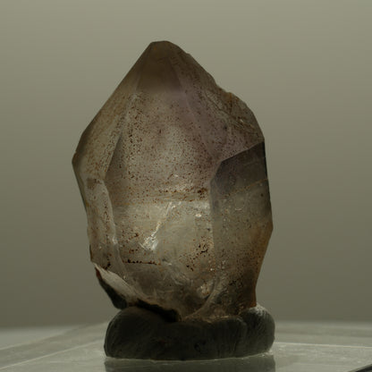Seltene Phantom Rauchquarz Skelett Zepter Spitze Goboboseb, Namibia 38*23*22mm #14110