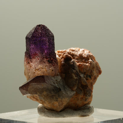 Skelett Phantom Amethyst Eisen Zepter auf Matrix Brandberg, Namibia 26*25*12mm #14121