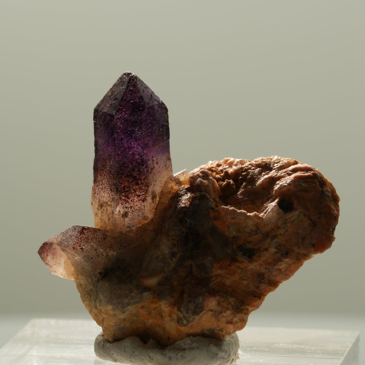 Skelett Phantom Amethyst Eisen Zepter auf Matrix Brandberg, Namibia 26*25*12mm #14121