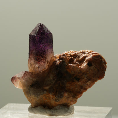 Skelett Phantom Amethyst Eisen Zepter auf Matrix Brandberg, Namibia 26*25*12mm #14121