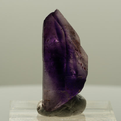 Seltene Phantom Skelett Amethyst mit Eisen Spitze Brandberg, Namibia 29*13*11mm #14131