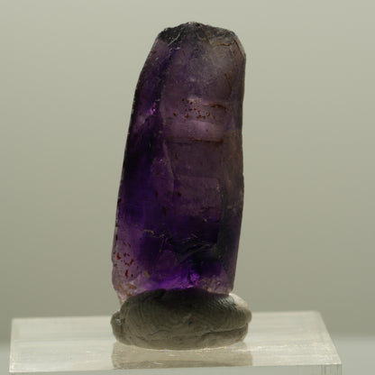 Seltene Phantom Skelett Amethyst mit Eisen Spitze Brandberg, Namibia 29*13*11mm #14131