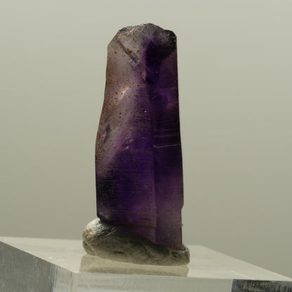 Seltene Phantom Skelett Amethyst mit Eisen Spitze Brandberg, Namibia 29*13*11mm #14131