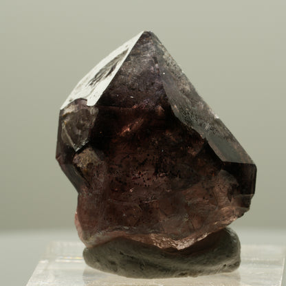 Seltene Phantom Amethyst Skelett Zepter Spitze Goboboseb, Namibia 27*22*16mm #14133