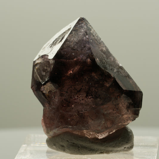 Seltene Phantom Amethyst Skelett Zepter Spitze Goboboseb, Namibia 27*22*16mm #14133