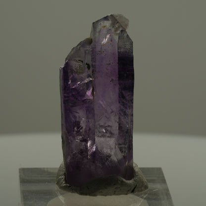 Seltene Phantom Skelett Amethyst mit Eisen Spitze Brandberg, Namibia 35*15*9mm #14138