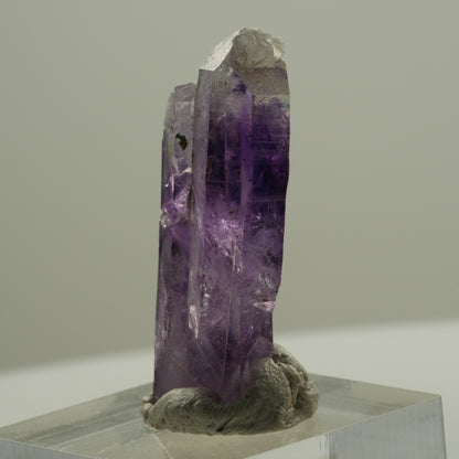 Seltene Phantom Skelett Amethyst mit Eisen Spitze Brandberg, Namibia 35*15*9mm #14138
