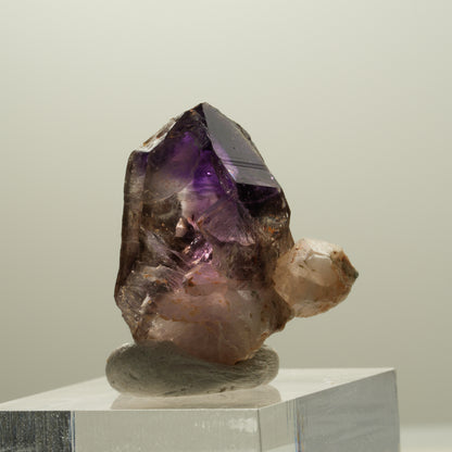 Seltene Skelett Phantom Amethyst Spitze Brandberg, Namibia 27*23*15mm #14140