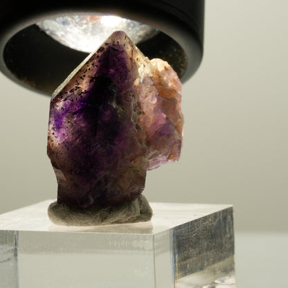 Seltene Phantom Skelett Amethyst mit Eisen Spitze Brandberg, Namibia 27*23*16mm #14141