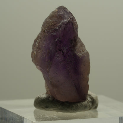 Seltene Skelett Phantom Amethyst Spitze Brandberg, Namibia 23*16*12mm #14143