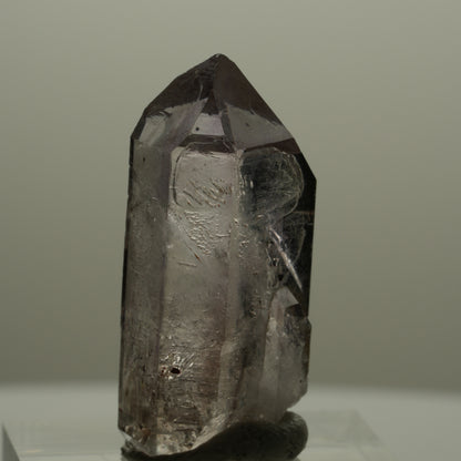 Seltene Skelett Phantom Amethyst mit Hämatit Streep Mine Goboboseb Namibia 35*14*11mm #14154
