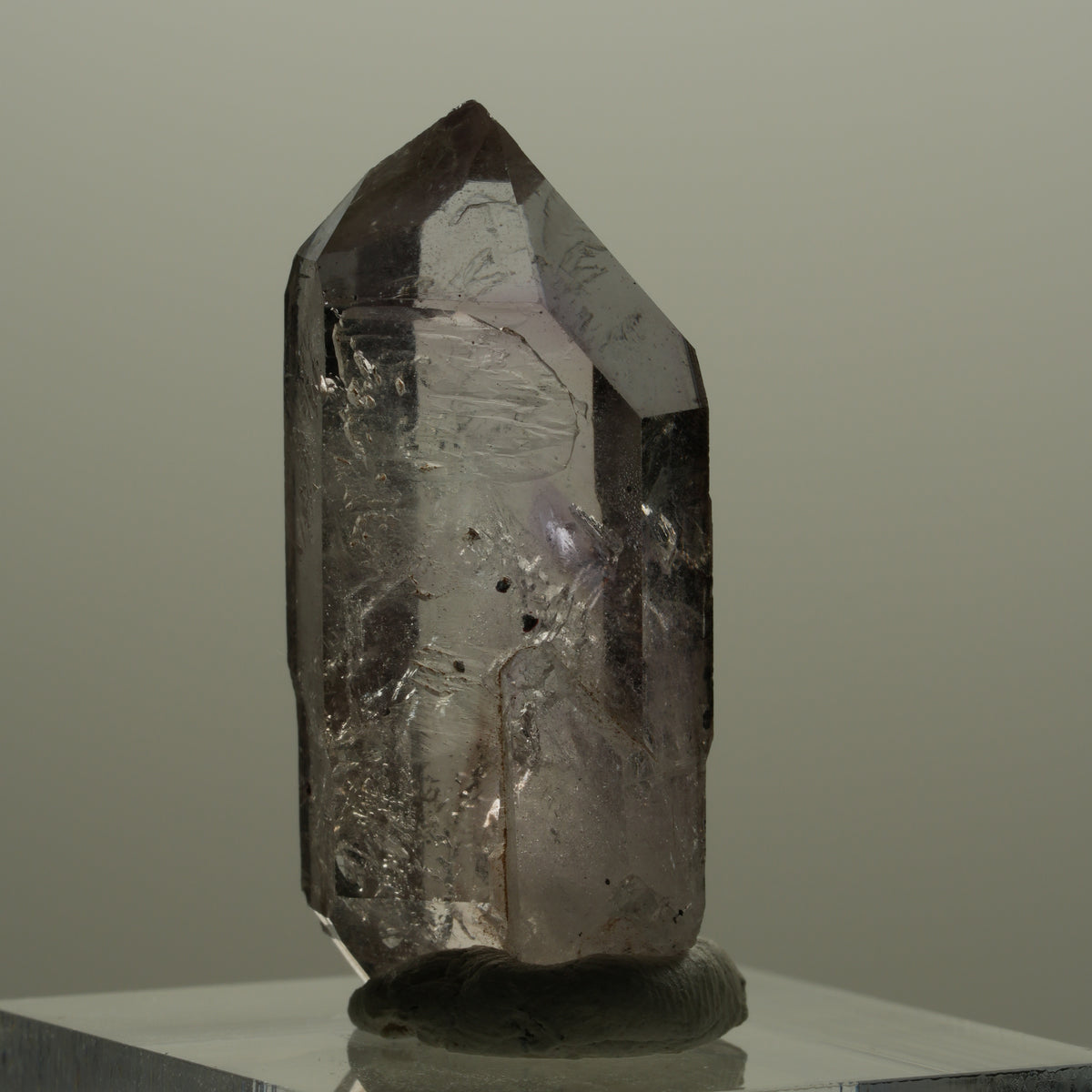 Seltene Skelett Phantom Amethyst mit Hämatit Streep Mine Goboboseb Namibia 35*14*11mm #14154