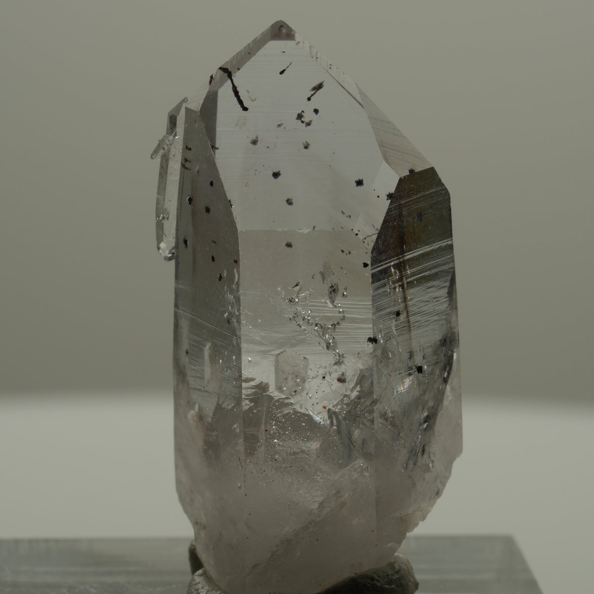Harlekin Lemurian Phantom Amethyst Spitze Streep Mine Goboboseb Namibia 32*16*11mm #14160