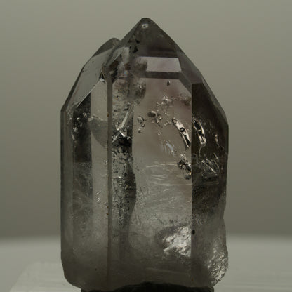 Seltene Skelett Phantom Amethyst mit Hämatit Streep Mine Goboboseb Namibia 29*17*9mm #14162