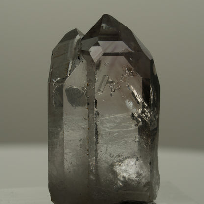 Seltene Skelett Phantom Amethyst mit Hämatit Streep Mine Goboboseb Namibia 29*17*9mm #14162