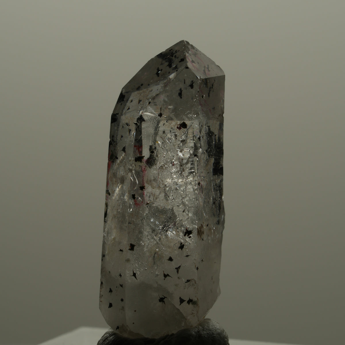 Enhydro Harlekin Phantom Amethyst Spitze, 1x Blase Streep Mine Goboboseb Namibia 29*11*9mm #14163