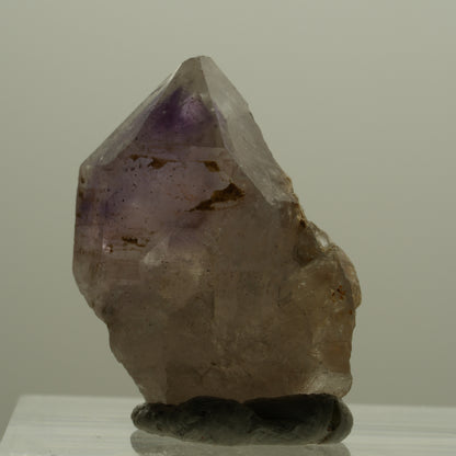 Seltene Skelett Phantom Amethyst Spitze Goboboseb, Namibia 24*19*11mm #14166