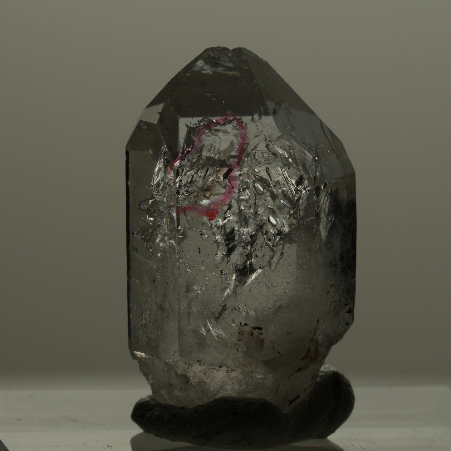Enhydro Phantom Rauchquarz Skelett Doppelender, 1x Blase Goboboseb, Namibia 22*12*11mm #14167