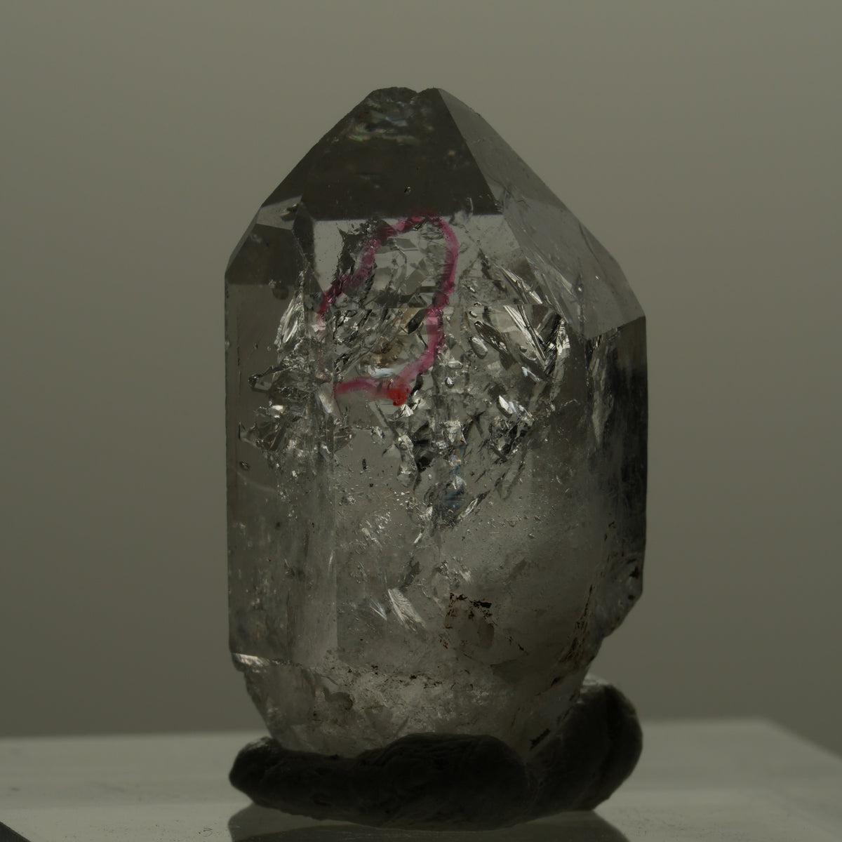 Enhydro Phantom Rauchquarz Skelett Doppelender, 1x Blase Goboboseb, Namibia 22*12*11mm #14167
