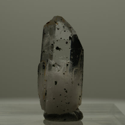 Phantom Skelett Rauchquarz mit Hämatit Streep Mine Goboboseb Namibia 23*10*8mm #14170