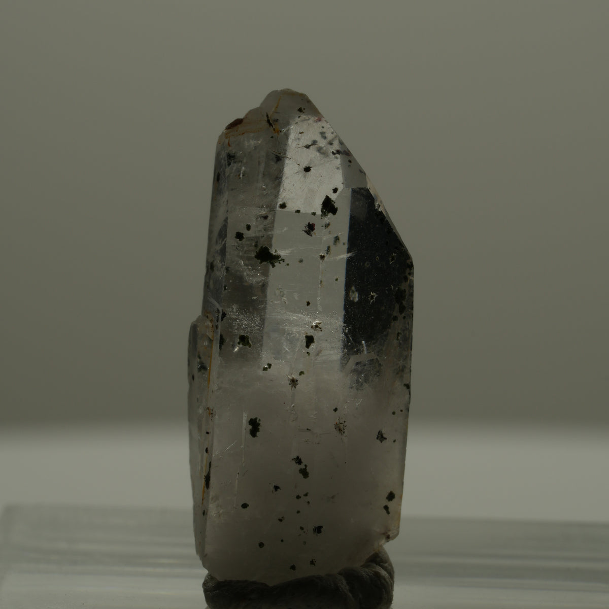 Phantom Skelett Rauchquarz mit Hämatit Streep Mine Goboboseb Namibia 23*10*8mm #14170