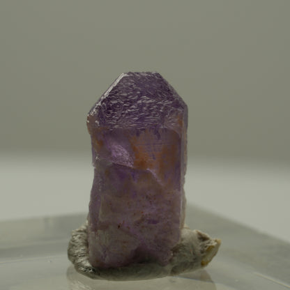 Seltene Skelett Phantom Amethyst Spitze Goboboseb, Namibia 14*8*7mm #14173