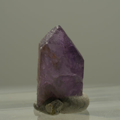 Seltene Skelett Phantom Amethyst Spitze Goboboseb, Namibia 14*8*7mm #14173