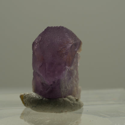 Seltene Skelett Phantom Amethyst Spitze Goboboseb, Namibia 14*8*7mm #14173