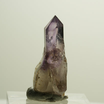 Seltene Skelett Phantom Amethyst Spitze Brandberg, Namibia 31*13*13mm #14178