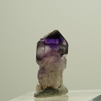 Seltene Phantom Amethyst Skelett Zepter Spitze Brandberg, Namibia 22*11*9mm #14180