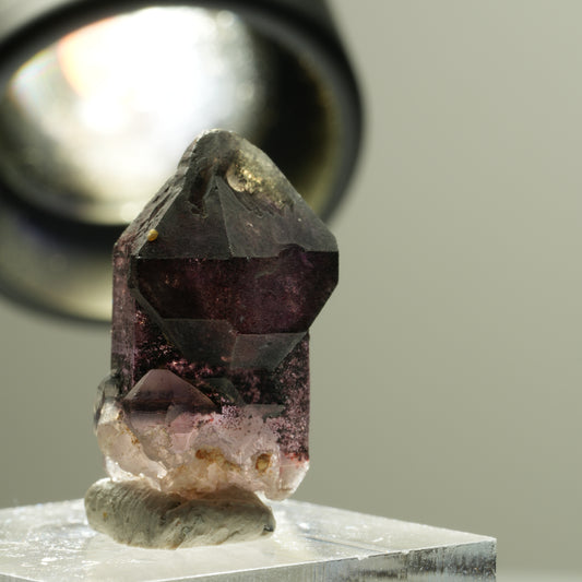 Seltene Phantom Amethyst Skelett Zepter Spitze Brandberg, Namibia 24*13*12mm #14181