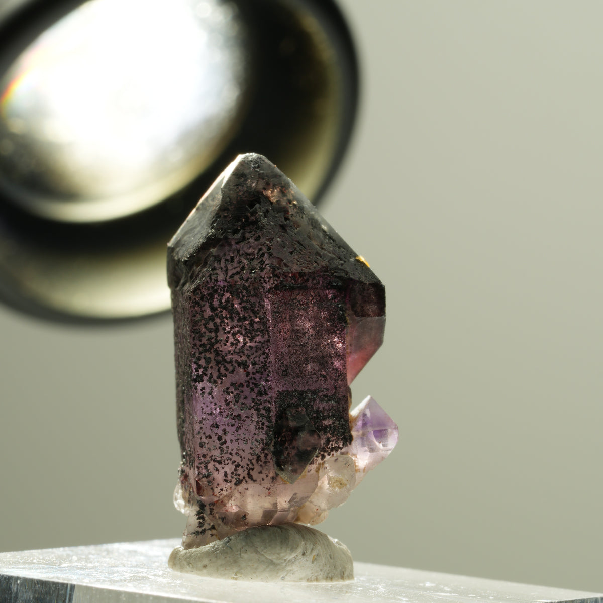 Seltene Phantom Amethyst Skelett Zepter Spitze Brandberg, Namibia 24*13*12mm #14181